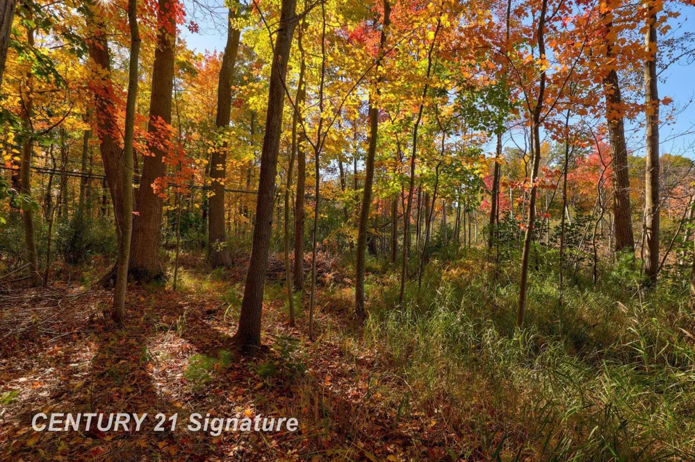 Port Austin Road Lake Township, MI 48725