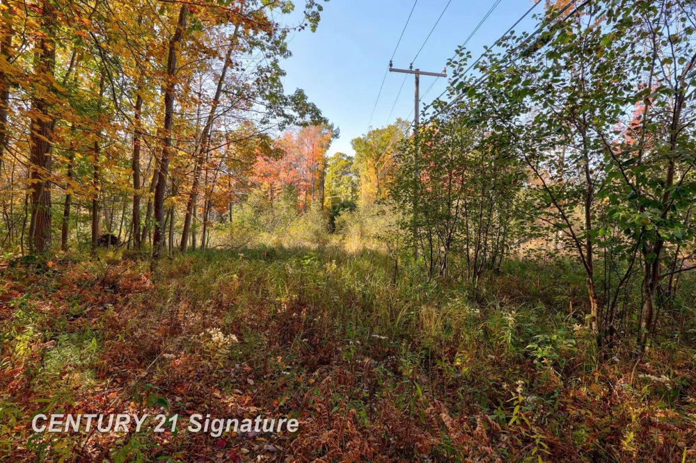 Port Austin Road Lake Township, MI 48725