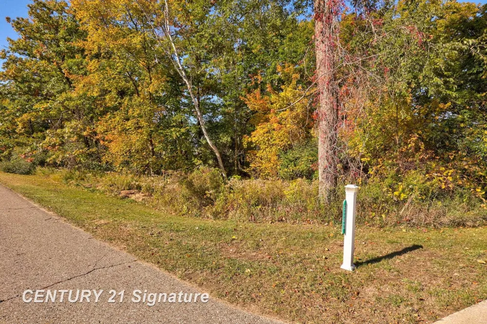 Port Austin Road Lake Township, MI 48725