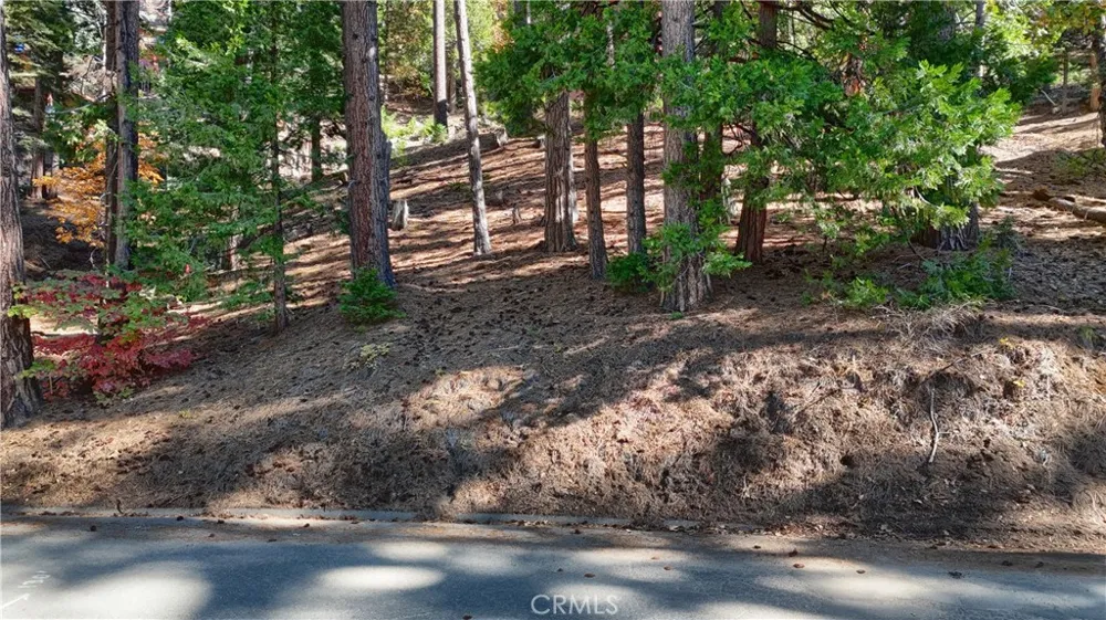 7232 Yosemite Park Yosemite, CA 95389