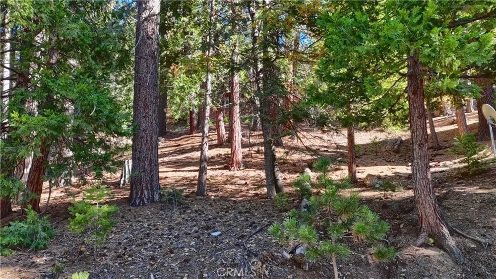 7232 Yosemite Park Yosemite, CA 95389