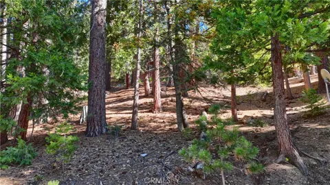 7232 Yosemite Park