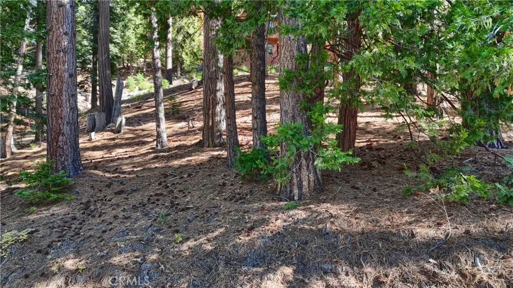7232 Yosemite Park Yosemite, CA 95389
