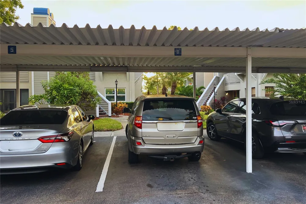 10606 LONGWOOD DRIVE #203B Seminole, FL 33777