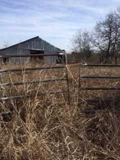 11447 TX-34 Ladonia, TX 75449