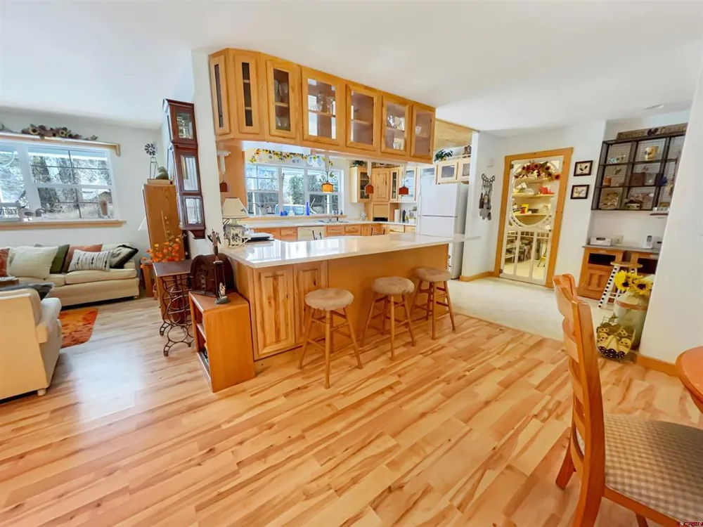 25075 38.1 ROAD Dolores, CO 81323