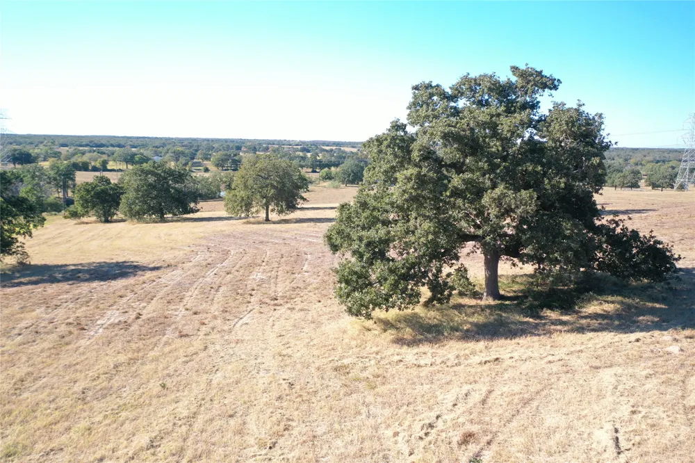 2055 Tract 1 Thrall, TX 76578