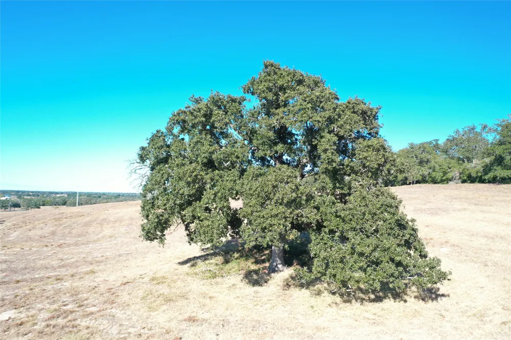 2055 Tract 1 Thrall, TX 76578