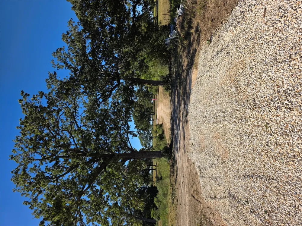 2055 Tract 1 Thrall, TX 76578