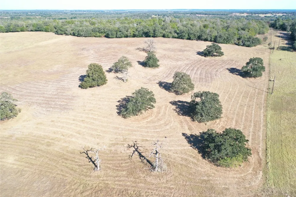 2055 Tract 1 Thrall, TX 76578