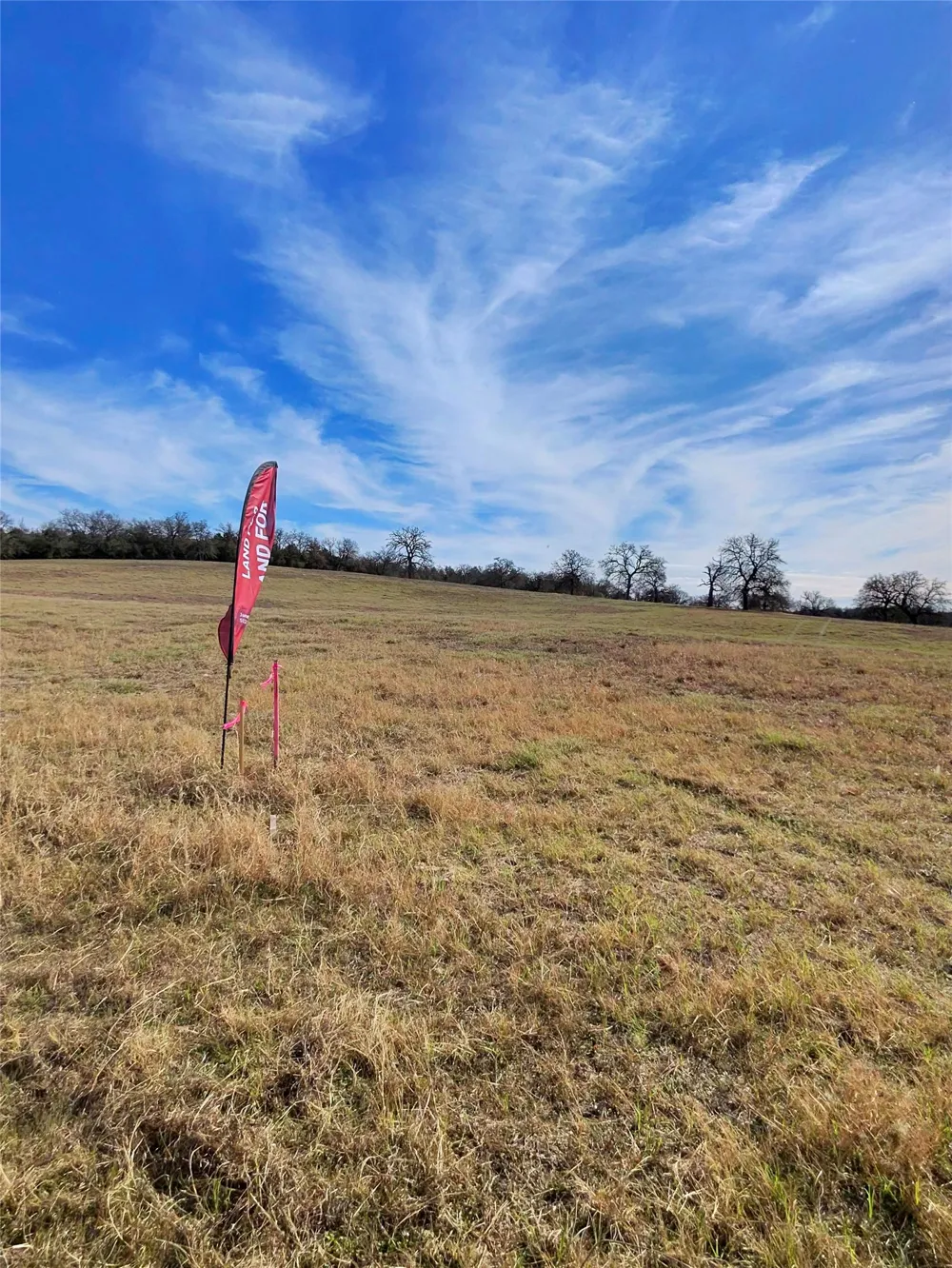 2055 Tract 1 Thrall, TX 76578