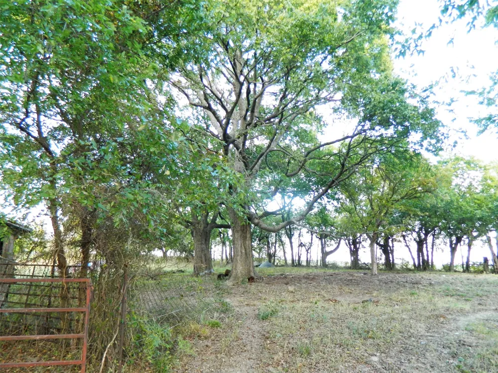 6323 Fm 896 Highway Bonham, TX 75418