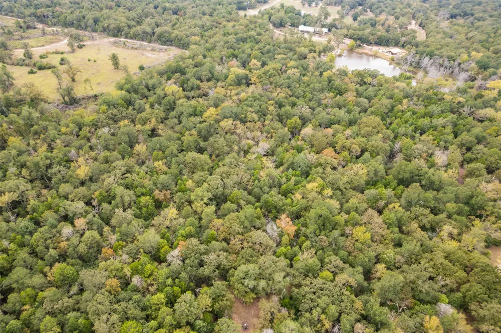 132 Private Road 507 Fairfield, TX 75840
