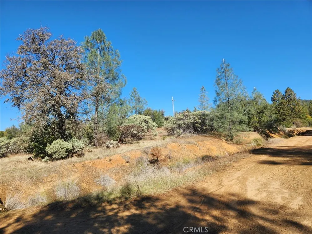 14444 Labadie Dobbins, CA 95935