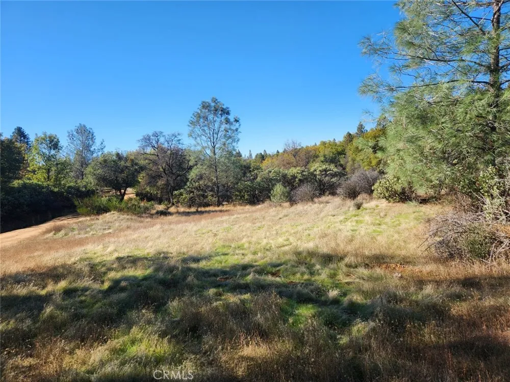 14444 Labadie Dobbins, CA 95935