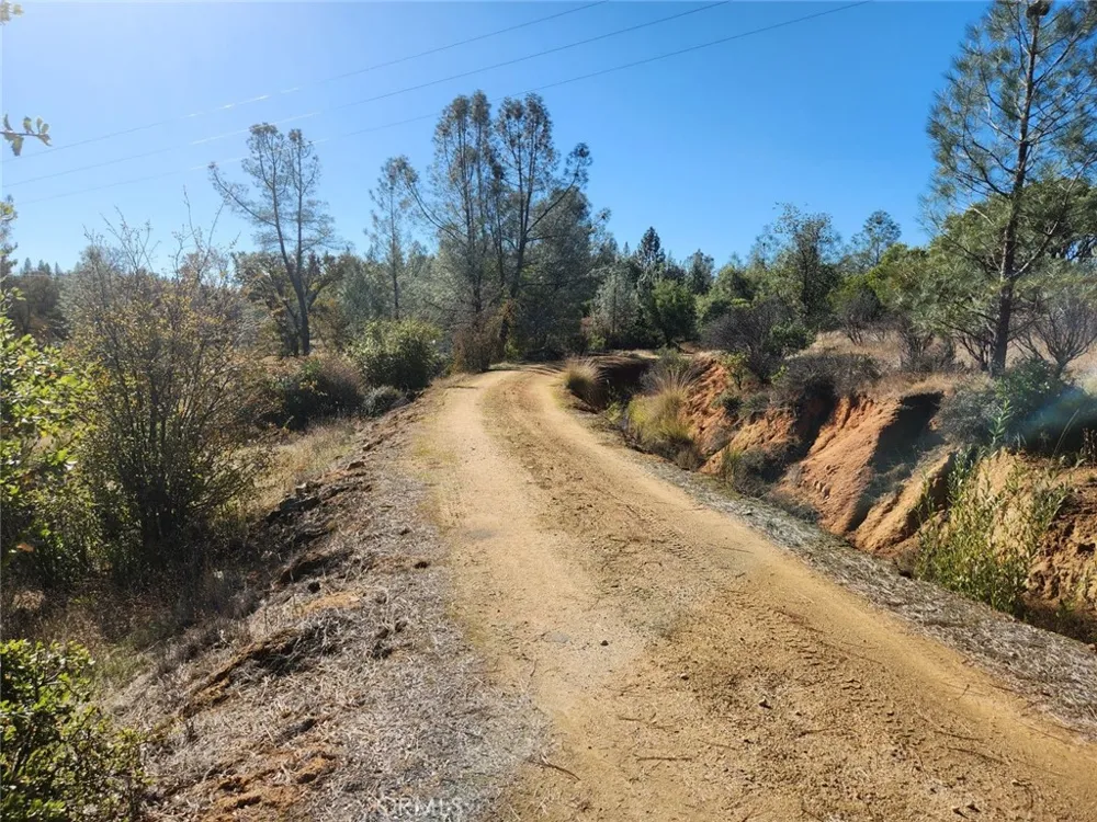 14444 Labadie Dobbins, CA 95935