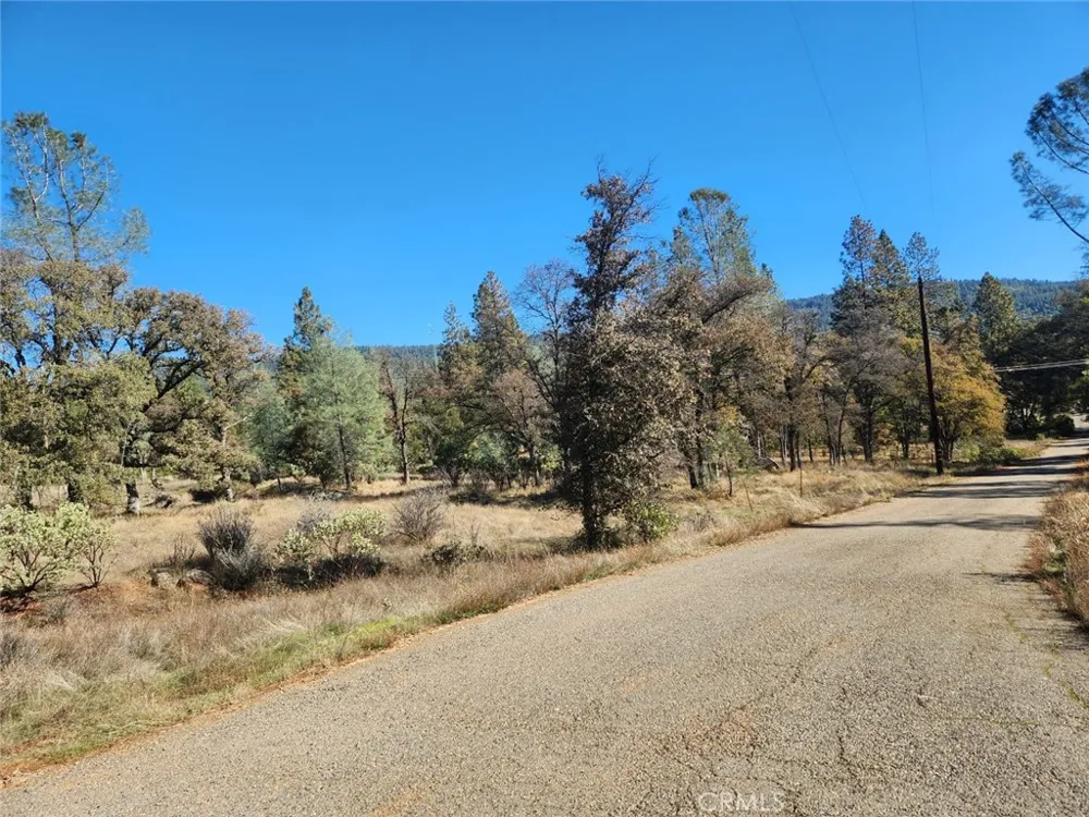 14444 Labadie Dobbins, CA 95935