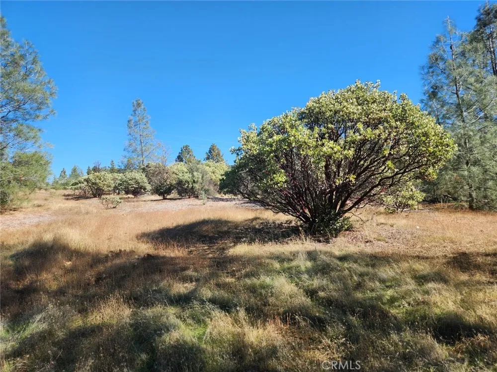 14444 Labadie Dobbins, CA 95935