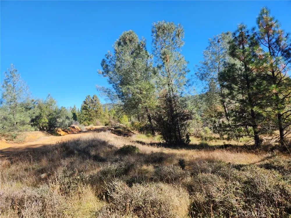 14444 Labadie Dobbins, CA 95935
