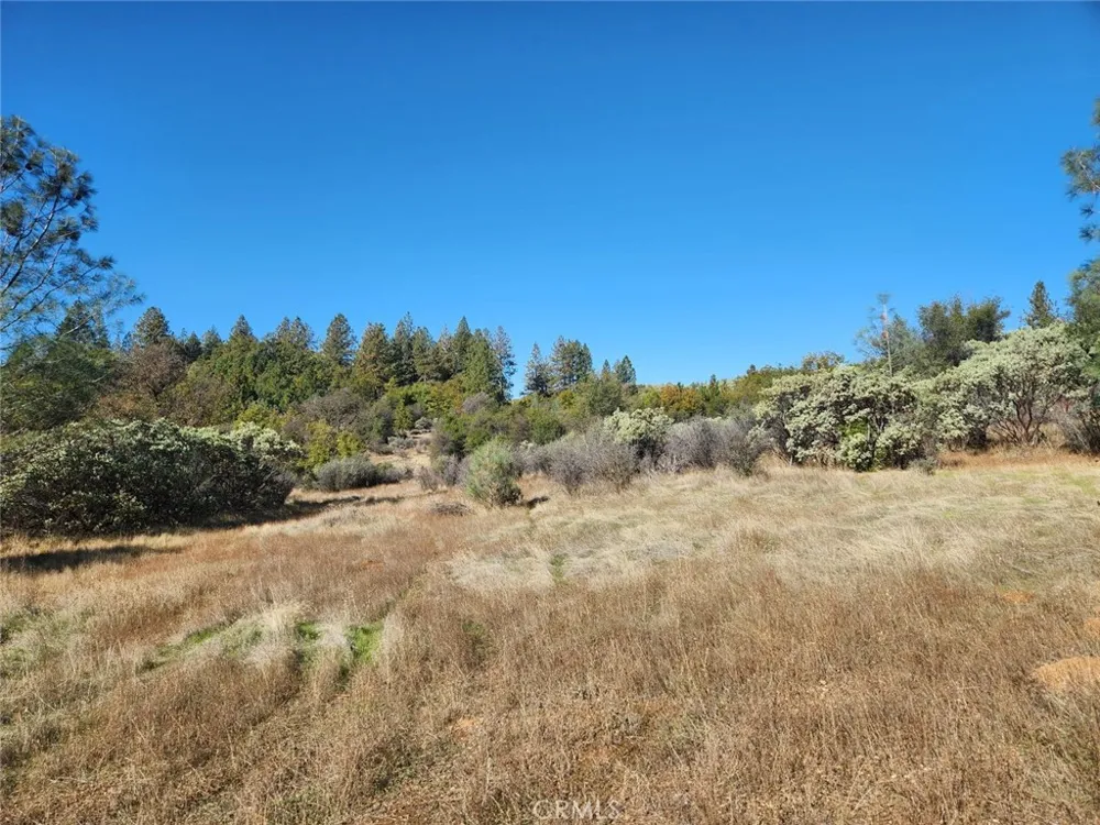 14444 Labadie Dobbins, CA 95935