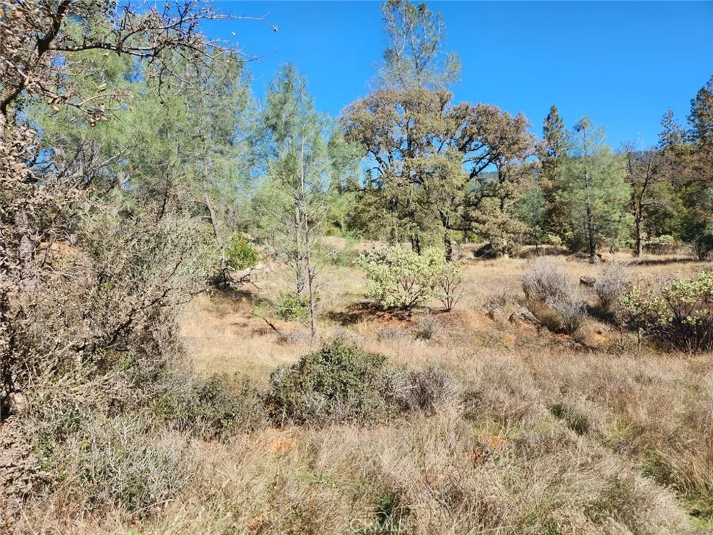 14444 Labadie Dobbins, CA 95935