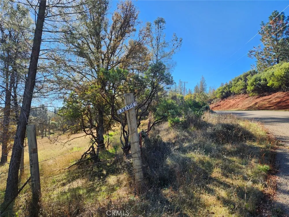 14444 Labadie Dobbins, CA 95935
