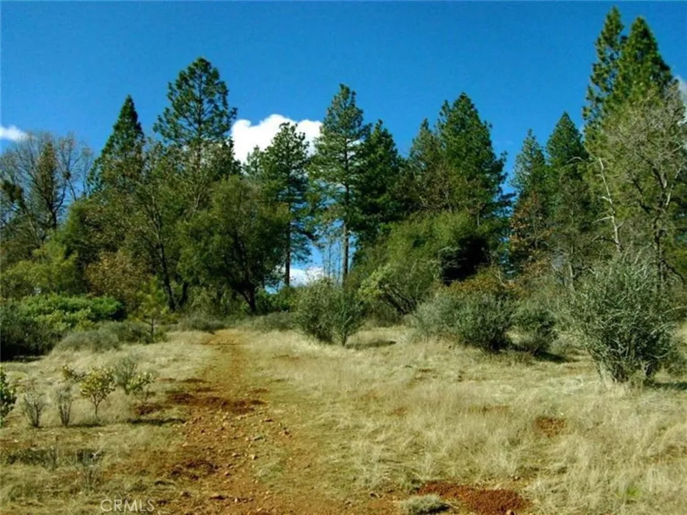 14444 Labadie Dobbins, CA 95935