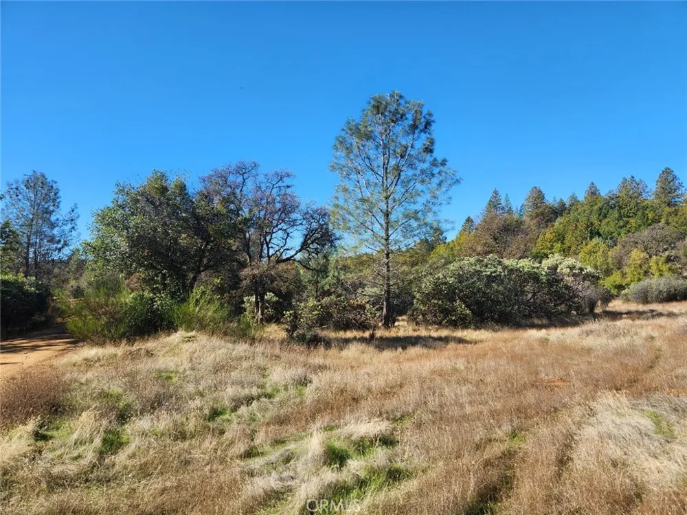 14444 Labadie Dobbins, CA 95935