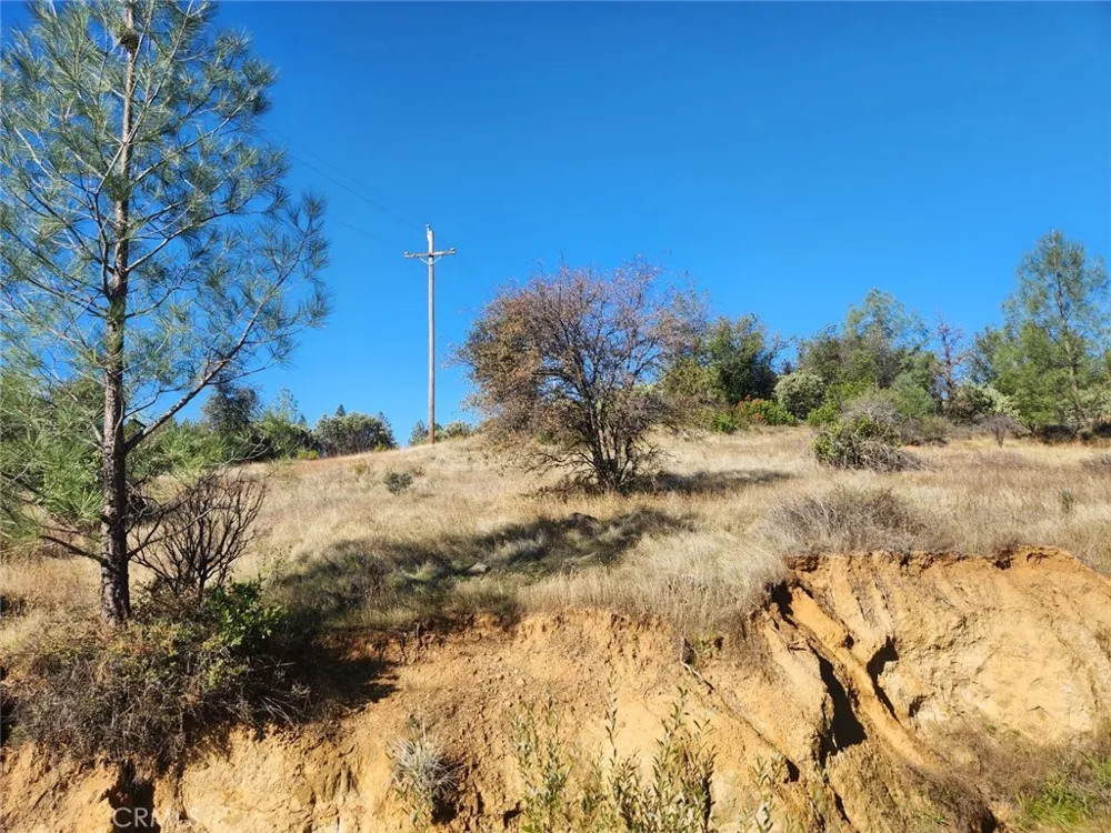 14444 Labadie Dobbins, CA 95935