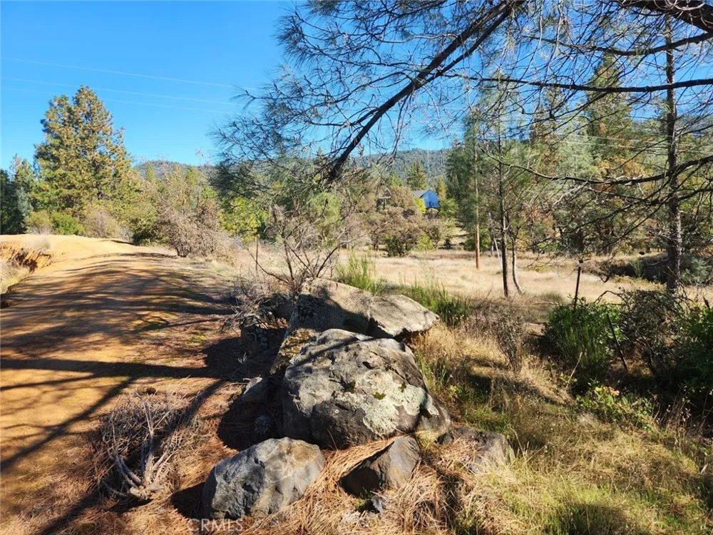14444 Labadie Dobbins, CA 95935