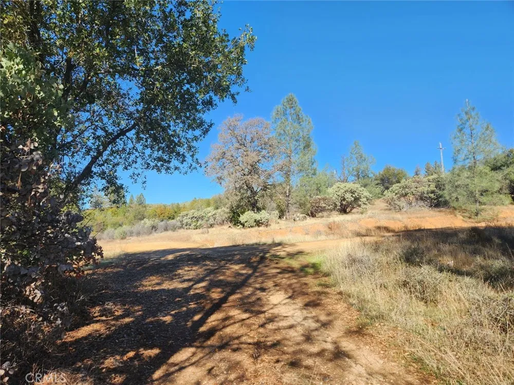 14444 Labadie Dobbins, CA 95935