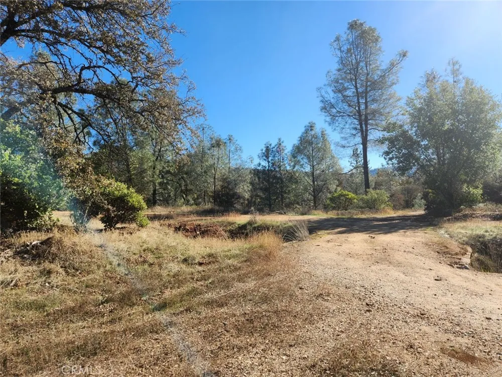 14444 Labadie Dobbins, CA 95935