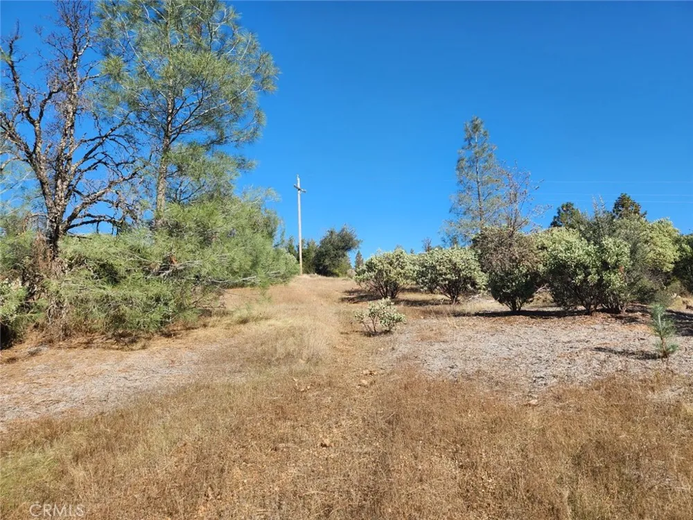 14444 Labadie Dobbins, CA 95935