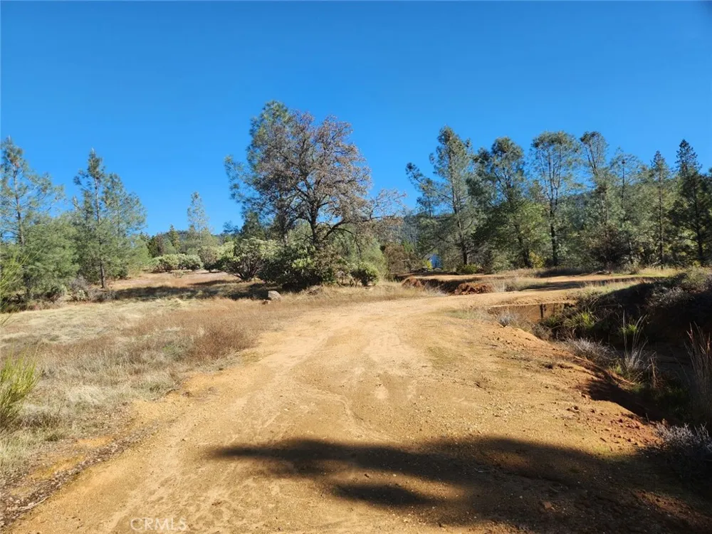 14444 Labadie Dobbins, CA 95935