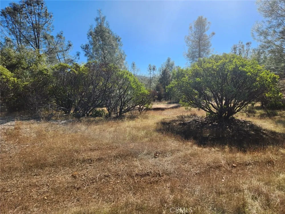 14444 Labadie Dobbins, CA 95935