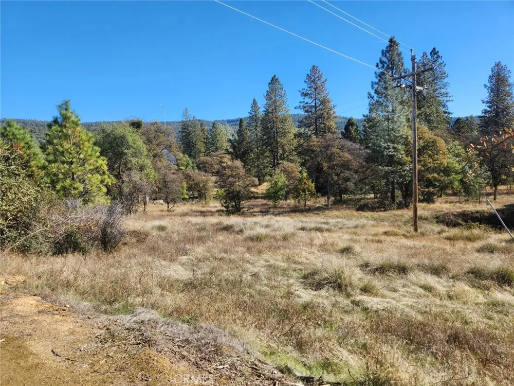 14444 Labadie Dobbins, CA 95935