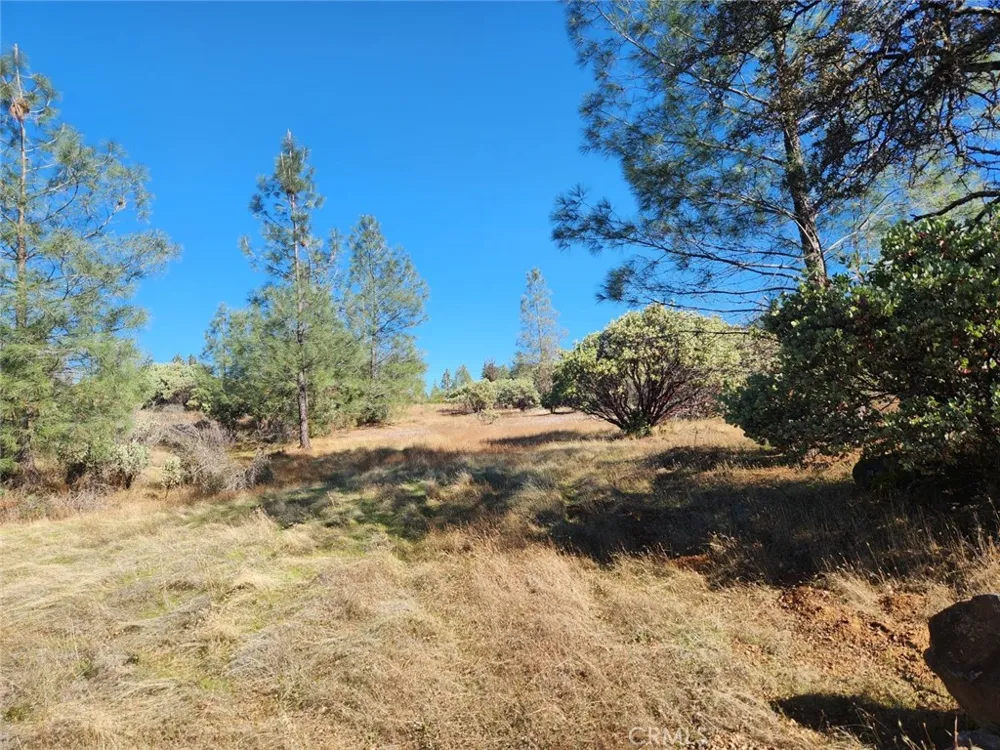 14444 Labadie Dobbins, CA 95935