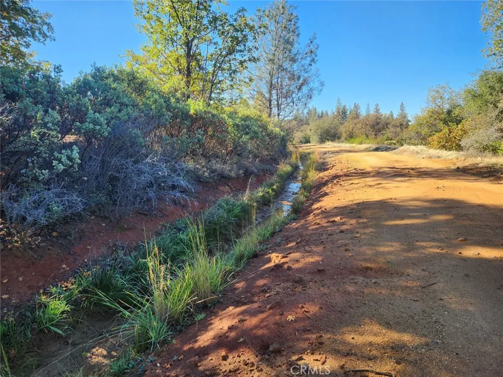 14444 Labadie Dobbins, CA 95935