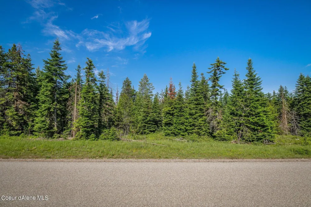 Lot 10 E Riley Loop Athol, ID 83801