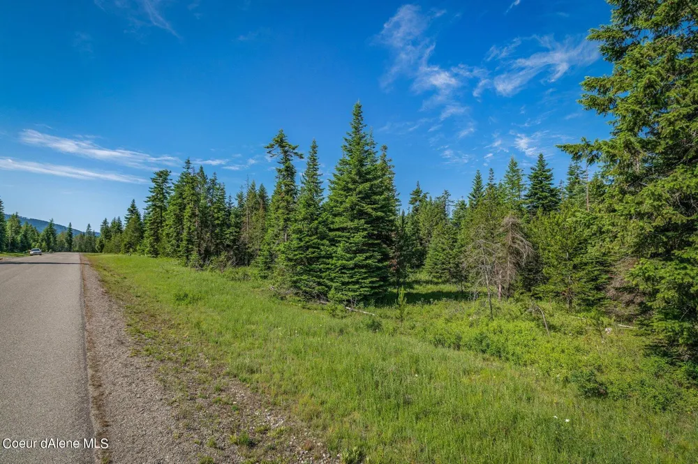 Lot 10 E Riley Loop Athol, ID 83801