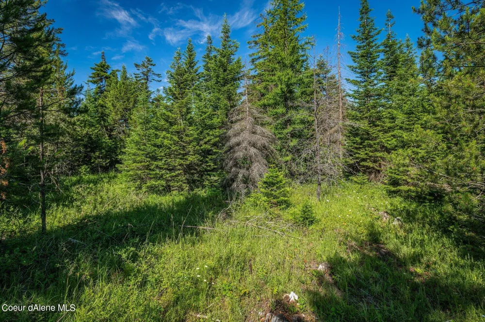 Lot 10 E Riley Loop Athol, ID 83801