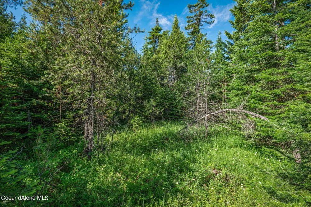 Lot 10 E Riley Loop Athol, ID 83801