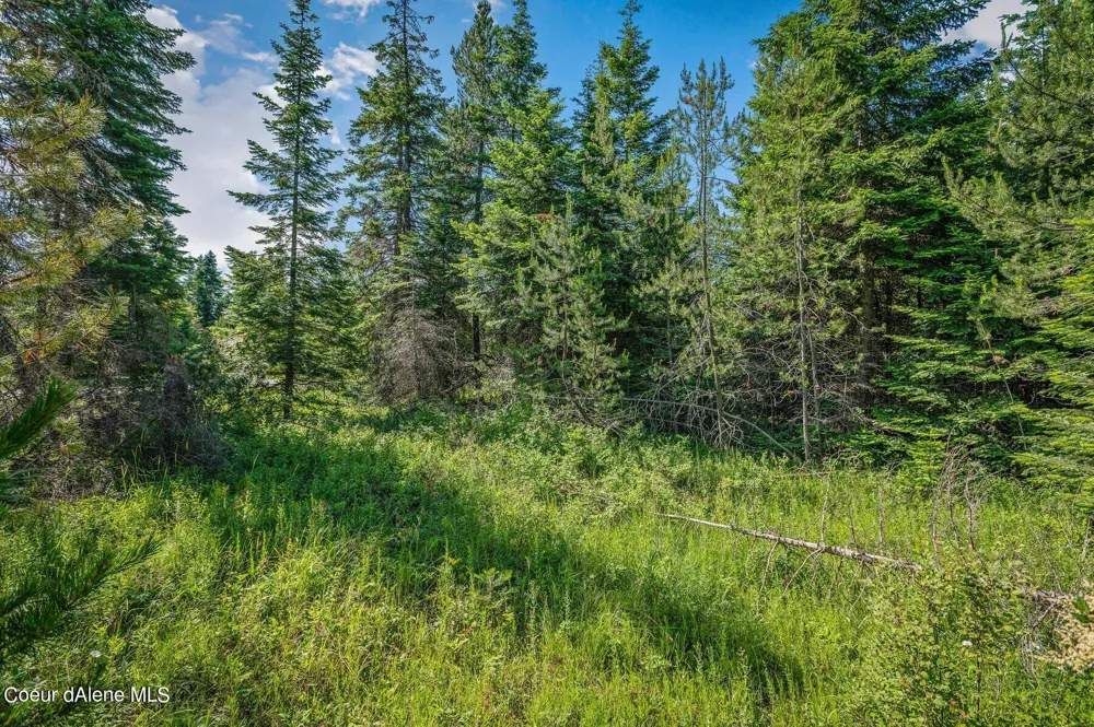 Lot 10 E Riley Loop Athol, ID 83801