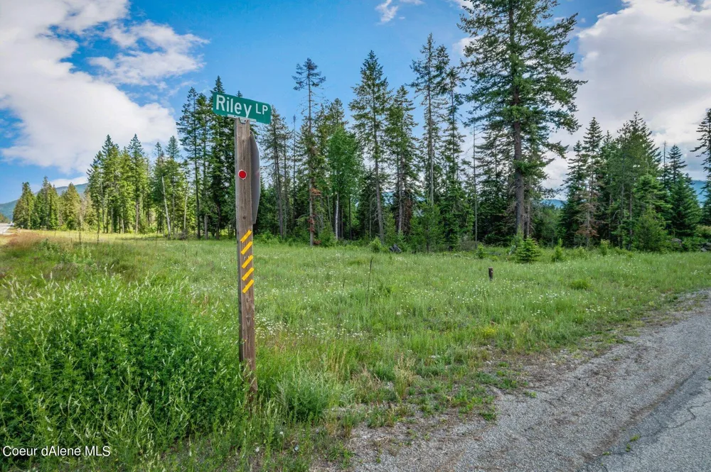 Lot 10 E Riley Loop Athol, ID 83801