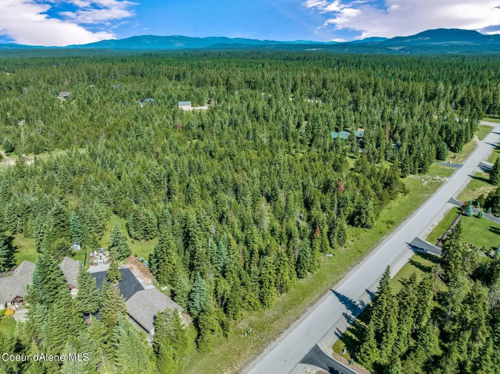 Lot 10 E Riley Loop Athol, ID 83801