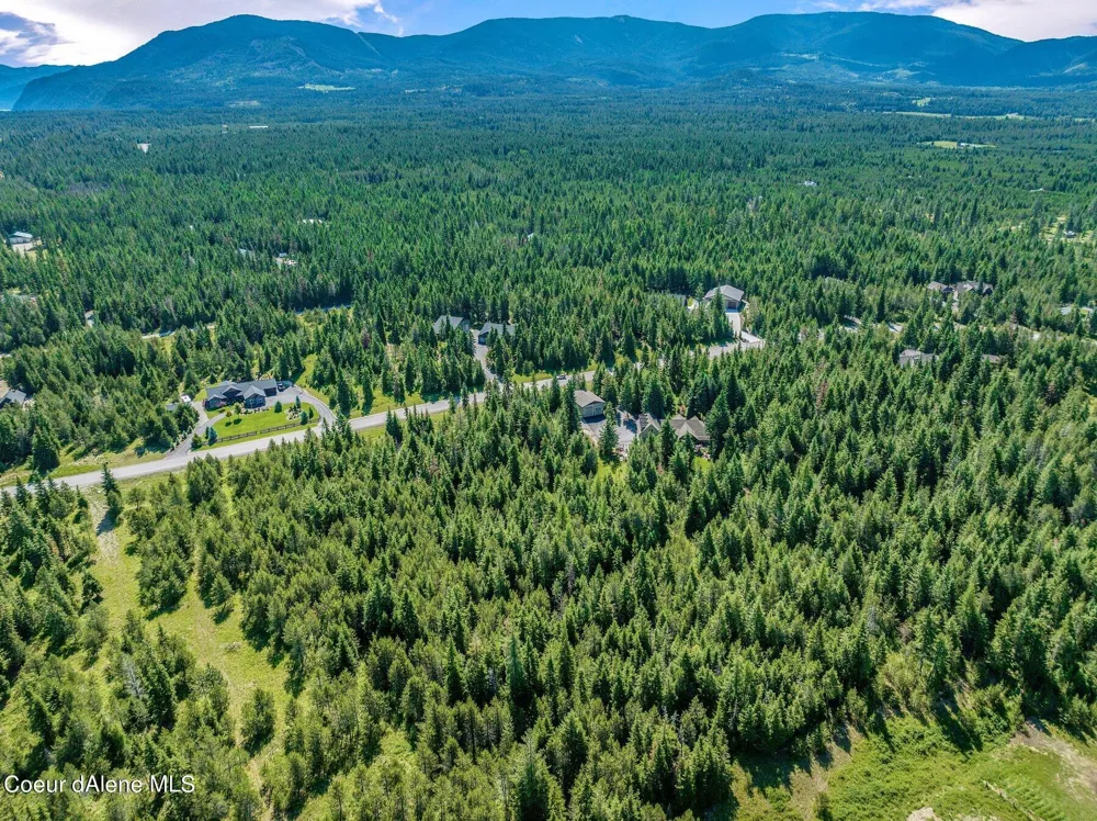 Lot 10 E Riley Loop Athol, ID 83801