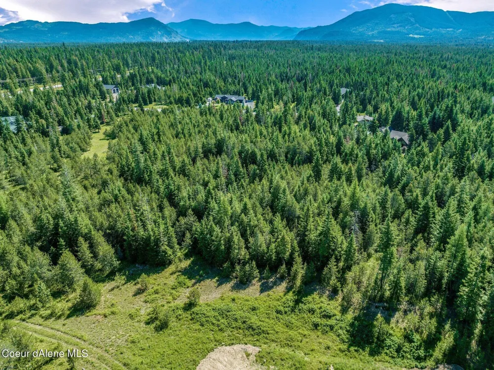 Lot 10 E Riley Loop Athol, ID 83801