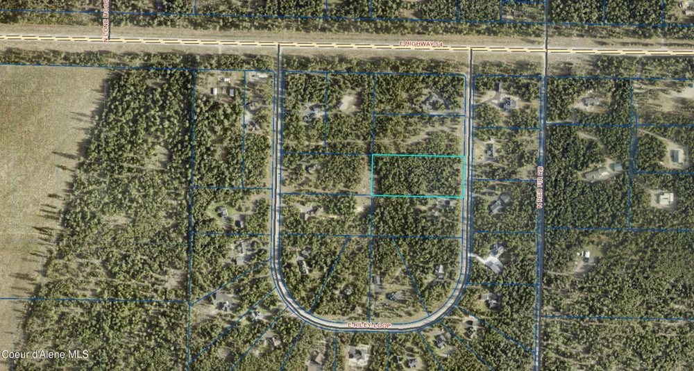 Lot 10 E Riley Loop Athol, ID 83801