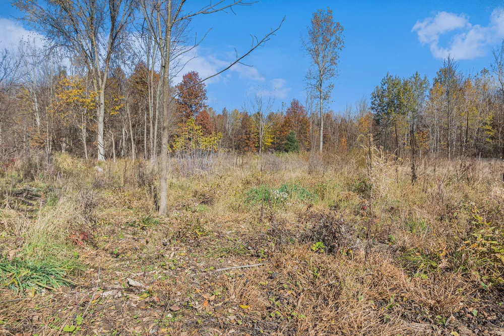 3 24th Avenue Grand Junction, MI 49056