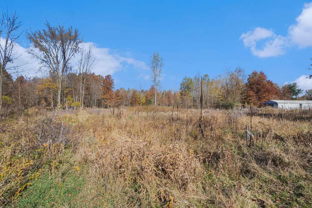 3 24th Avenue Grand Junction, MI 49056